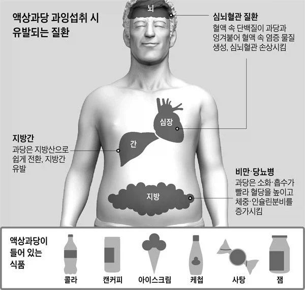 액상과당이 우리몸에 끼치는 영향들_1.webp