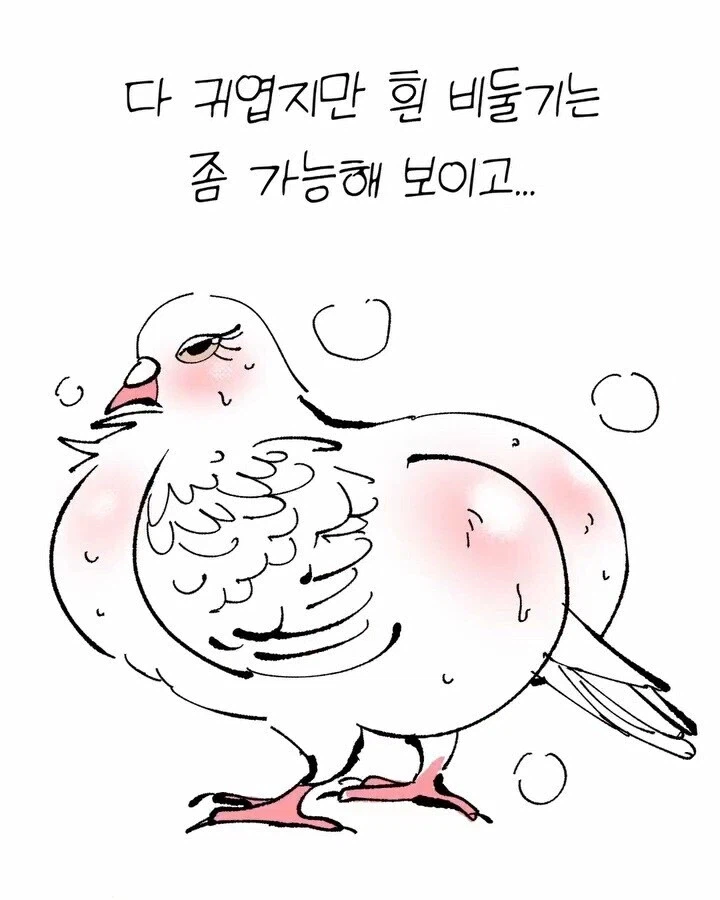비둘기가 귀여운.manhwa_6.webp