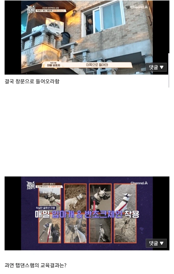 개팔자 상팔자 레전드...jpg_5.webp