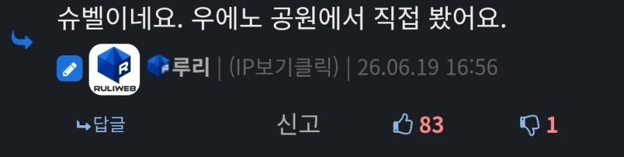 루리웹 운영자가 일본에서 직접 본것_1.webp