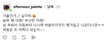 ing로 난리인 부산 날씨_1.webp