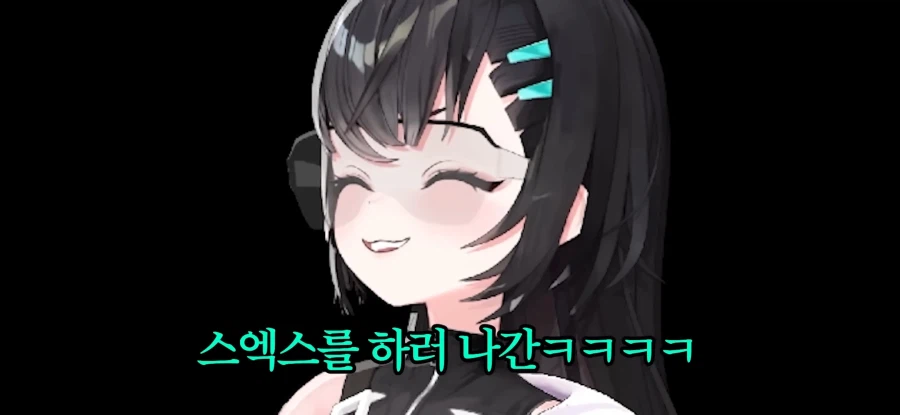 평균연령 30대 여스트리머 합방 수위_19.webp