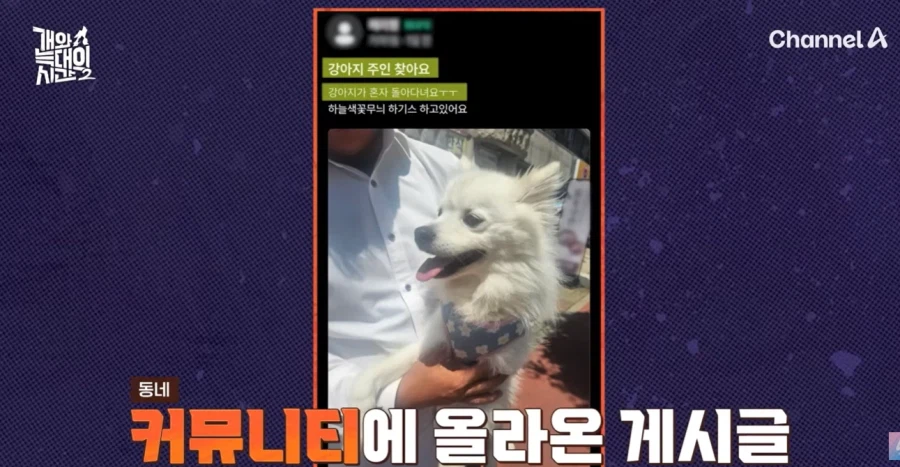 강형욱 나오는 개와 늑대의 시간 진짜 역대급 빌런나오더라_10.webp
