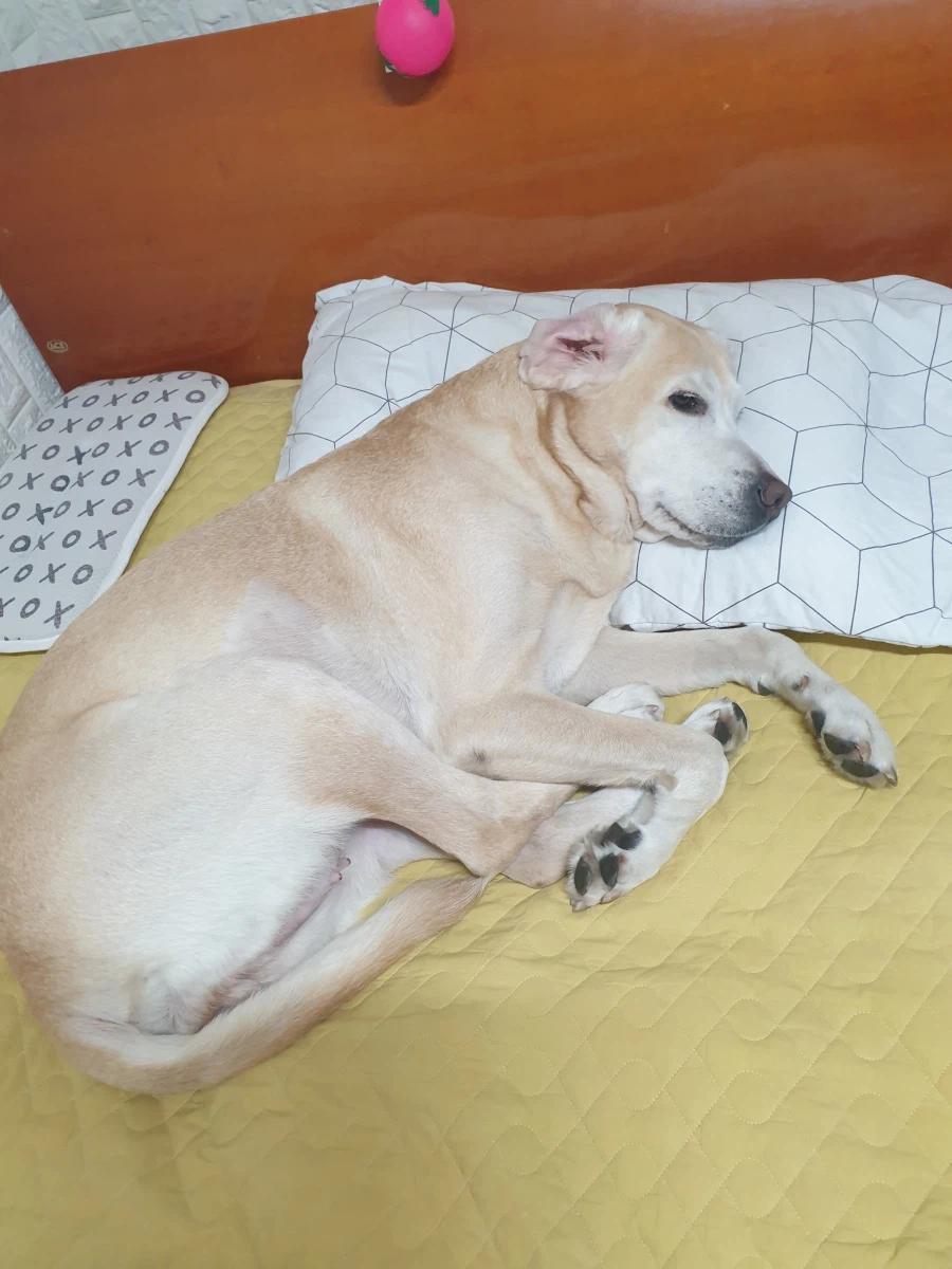 자, 너희가 원하던 사진이다._8.webp