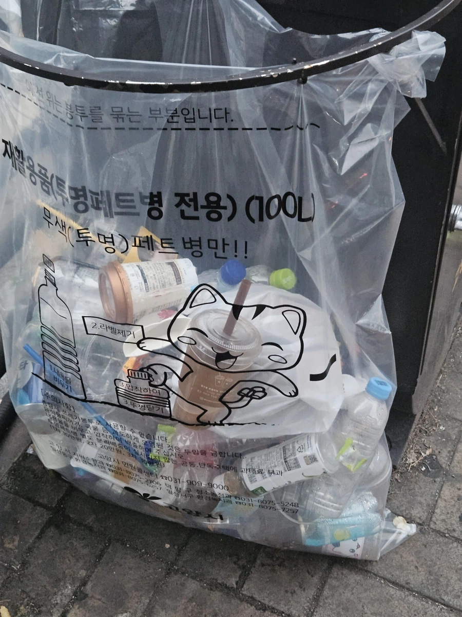 고양고양이 살아있었구나_1.webp