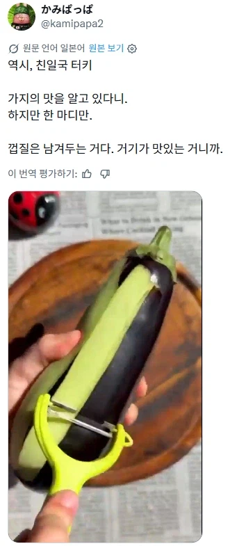 일본인: 튀르키예도 가지를 먹는구나?.jpg_1.webp