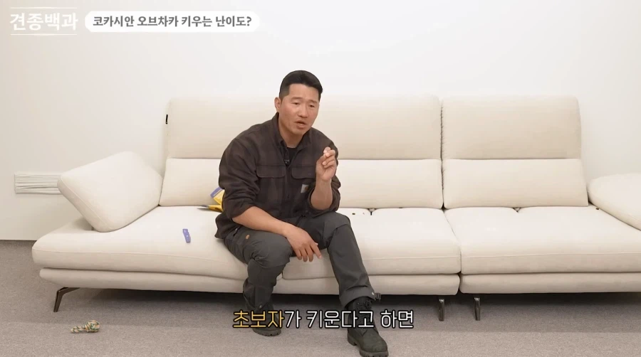 강형욱이 로트와일러 같은 맹견보다도 키우기 힘들다한 견종.JPG_8.webp