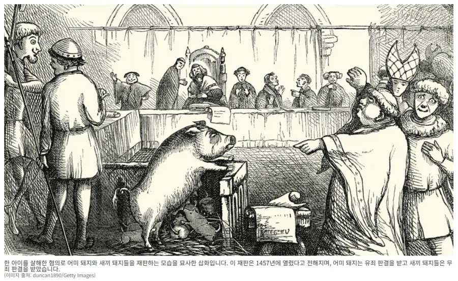 중세 유럽에선 가축 등 동물도 재판을 받았다_2.webp