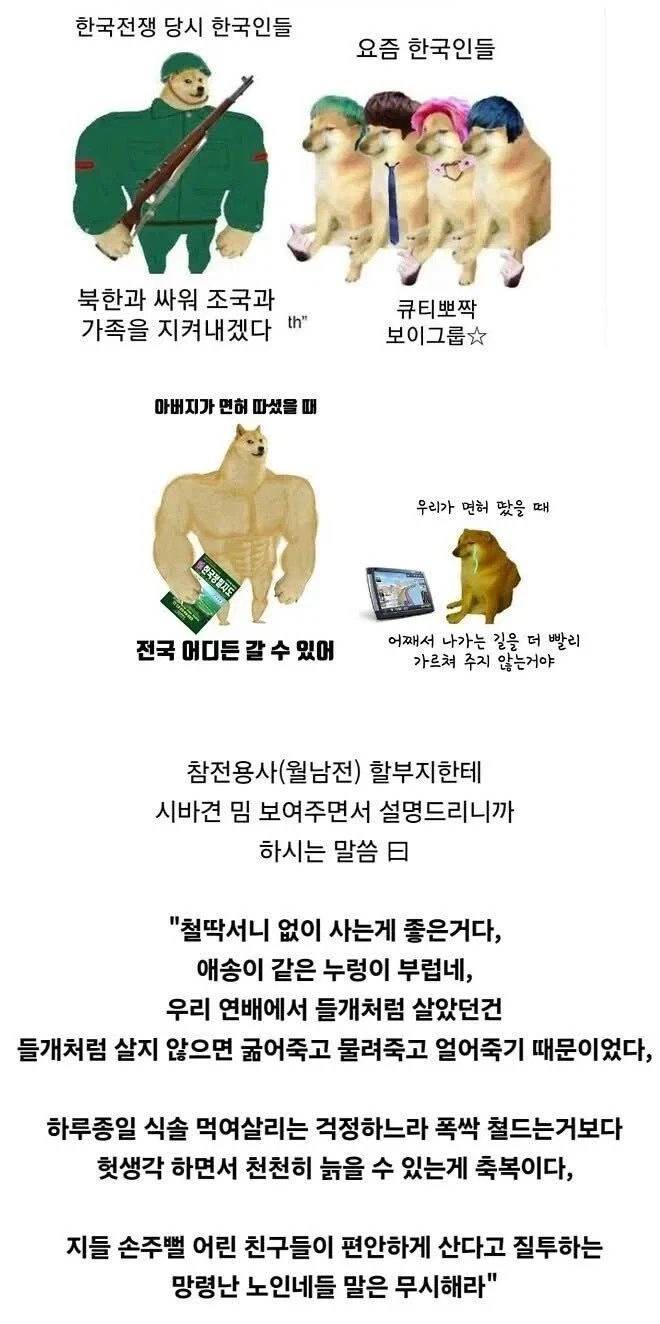 시바견 밈을 본 할아버지_1.webp