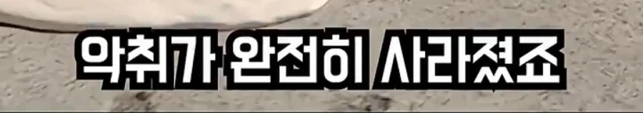 80KG 고기를 시멘트로 묻을 때 주의사항_13.webp