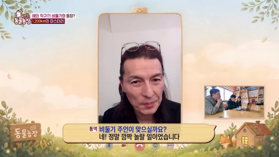 일본에서 1200km 를 날아서 한국으로 온 비둘기_12.webp