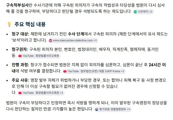 ‘김수현 명예훼손’ 김세의 구속적부심 신청 결과_2.webp