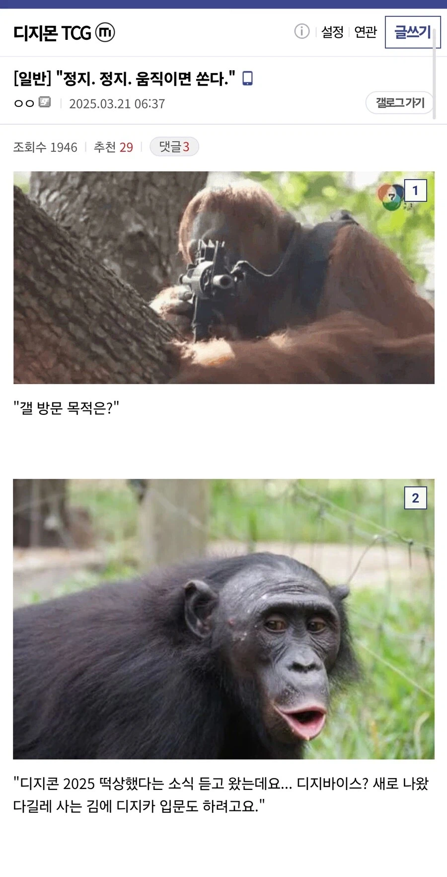 정지. 정지. 움직이면 쏜다._1.webp