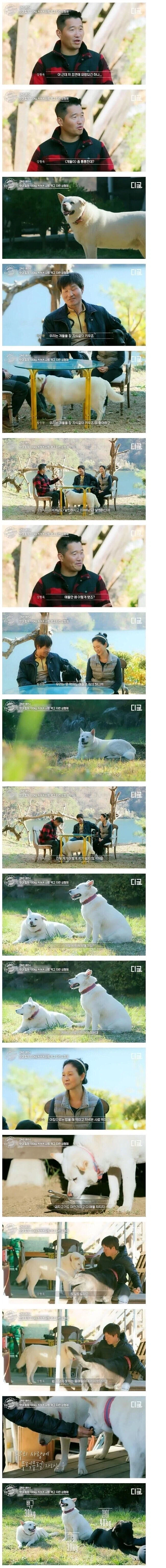 강형욱도 생전 처음 보는 타입의 진돗개_1.webp