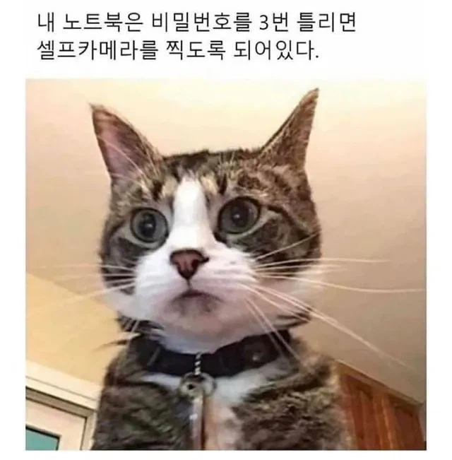 내 노트북은 비번을 3회 틀리면_1.webp