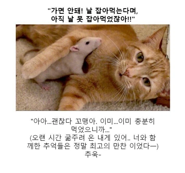 소년 만화 미식이되는 장면_1.webp