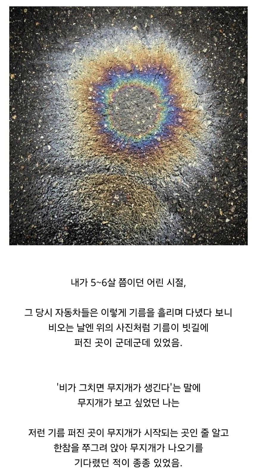 순수했던 5 ~ 6살 무렵의 내 모습.jpg_1.webp