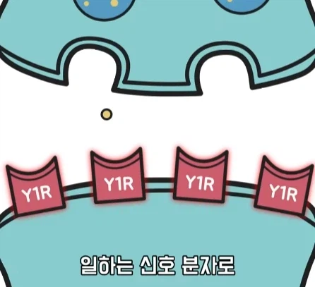 만성 통증 VS 공포·갈증·배고픔.jpg_21.webp