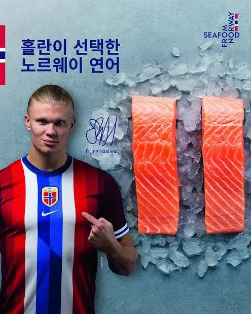 홀란드가 선택한 노르웨이 수출품_1.webp