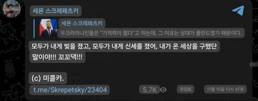 푸틴이 암살한걸로 추정되는 예술가의 진실_8.webp