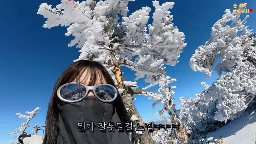 제주 한라산에서 일어난 사기극_6.webp