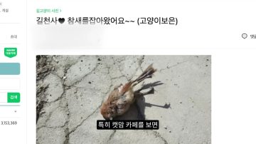 다시 한번 길고양이 문제에 대해 강하게 어필하는 유튜버 (※스압주의)_59.webp