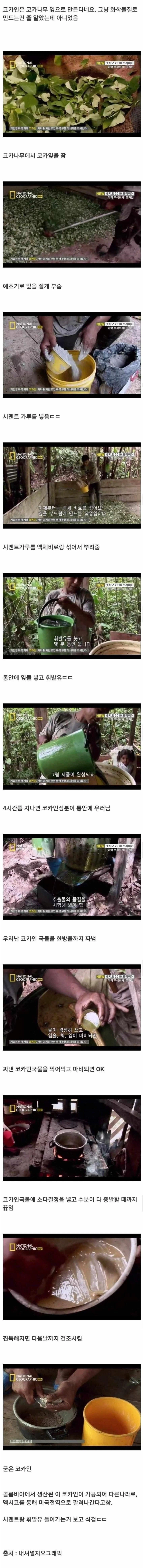 보약 한국 젊은이들이 좋아하는 천-연 재료로 만든 자연산 보약 제조과정_2.webp