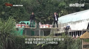 완전 동물복지 중국 닭 사육장_22.webp