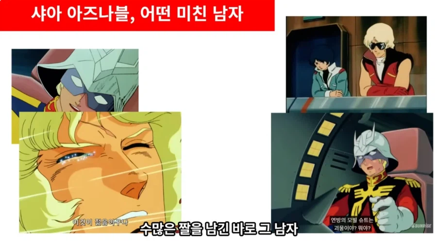 유투버의 샤아에 대한 분석_1.webp