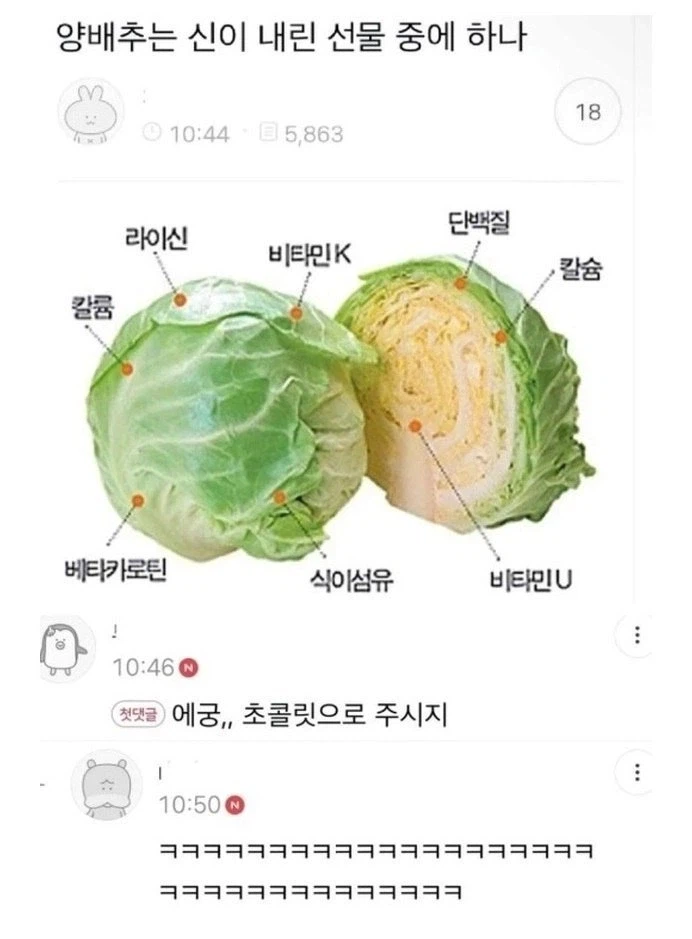 양배추는 신이 내린 선물 중에 하나_1.webp