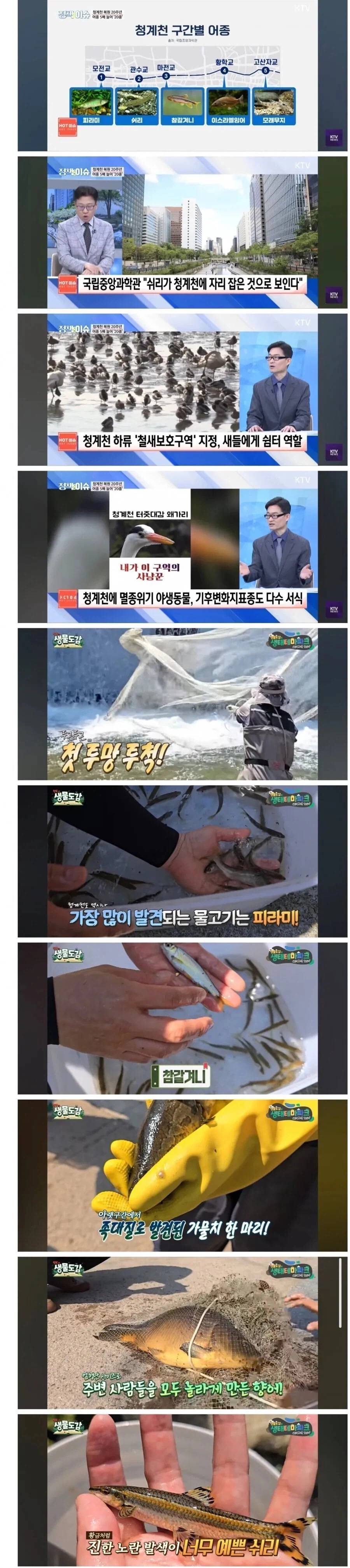 청계천 근황.jpg_1.webp