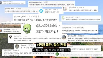 다시 한번 길고양이 문제에 대해 강하게 어필하는 유튜버 (※스압주의)_27.webp
