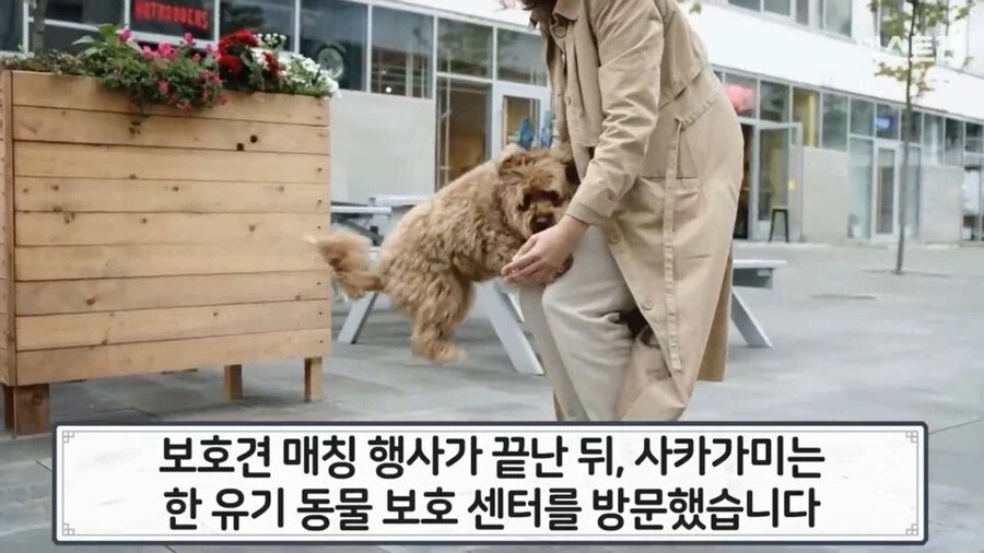 한국의 국책에 감탄하고 부러워한 일본인_2.webp
