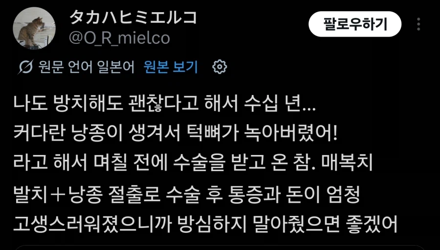 20년 넘게 자고 있는 폼폼푸린_5.webp