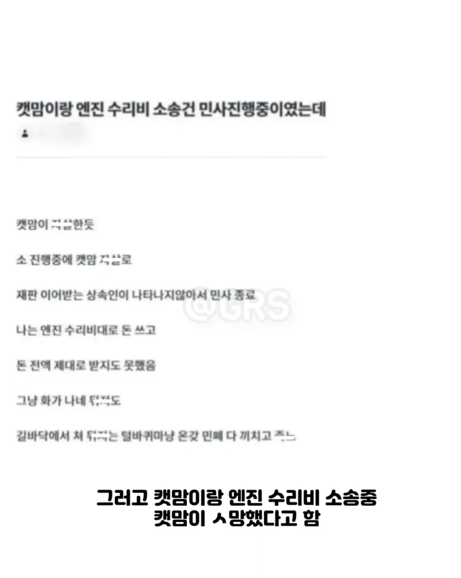 길고양이 차 보닛에서 죽자 차주에게 "2천만원" 청구한 캣맘.jpg_5.webp