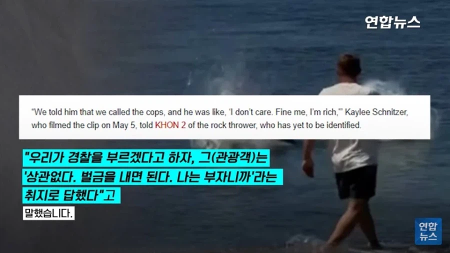 멸종 위기 동물 괴롭히던 관광객의 최후_4.webp