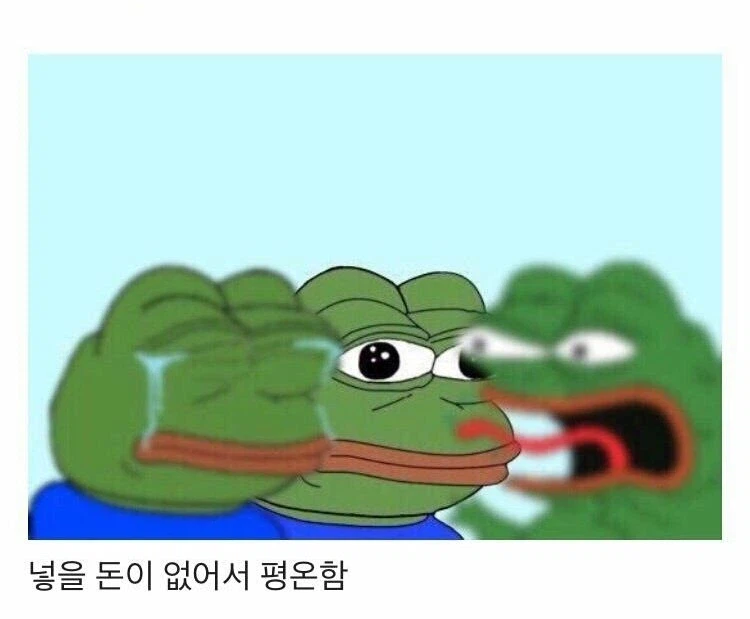 지금 유게를 보는 내 근황_1.webp