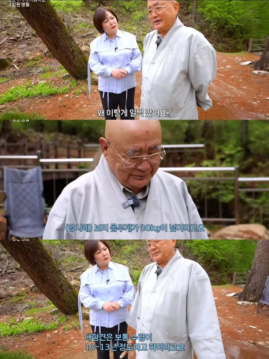 스님 머리 핥는 개로 유명했던 보리를 잊지 못하는 스님_6.webp