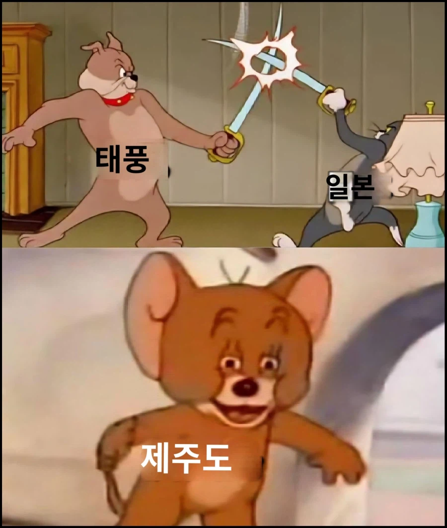 일본: 아, 태풍....._4.webp