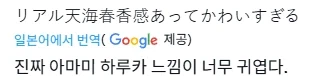 작년에 일본에서 살짝 화제였던 한국 아이돌_1.webp