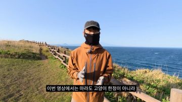 다시 한번 길고양이 문제에 대해 강하게 어필하는 유튜버 (※스압주의)_6.webp
