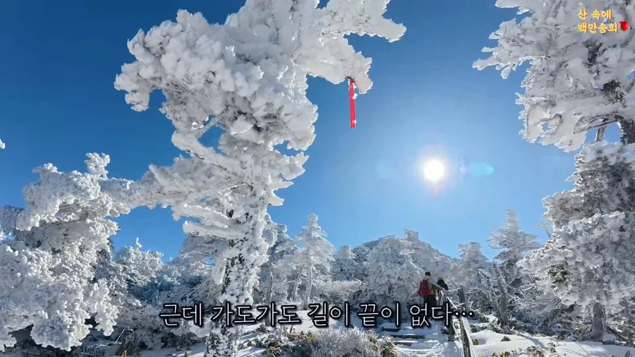제주 한라산에서 일어난 사기극_5.webp