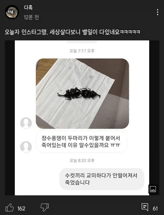 섹1스하다 죽은 장수풍뎅이_1.webp