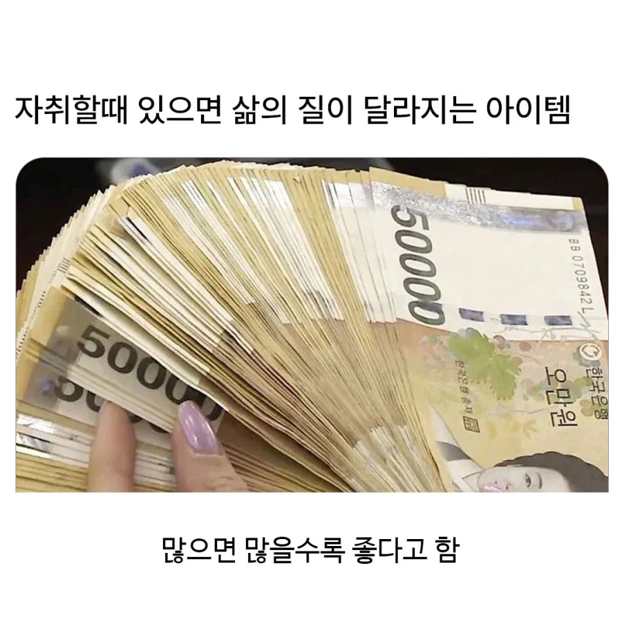 자취할 때 삶의 질이 달라지는 아이템_1.webp