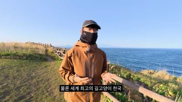 다시 한번 길고양이 문제에 대해 강하게 어필하는 유튜버 (※스압주의)_80.webp
