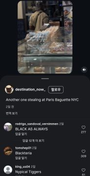 미국 진출한 파리 바게트, 도난으로 몸살.gif_3.webp