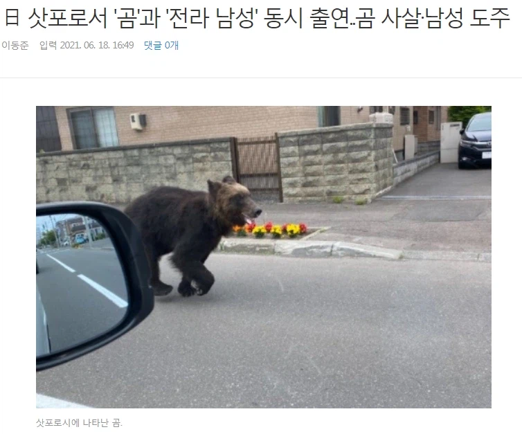 전라 남성과 곰 출현.news_1.webp