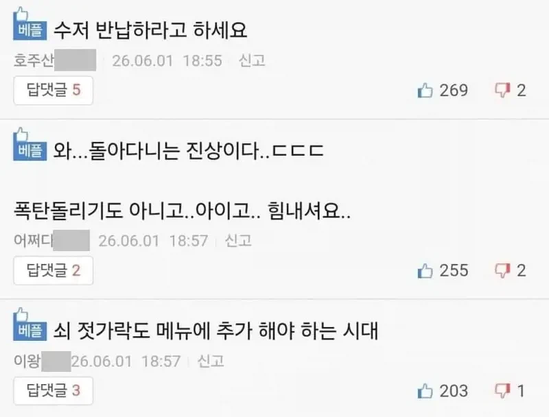 배달거지 근황.0601_2.webp