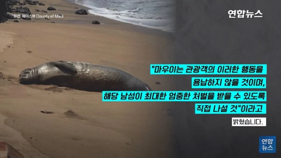 멸종 위기 동물 괴롭히던 관광객의 최후_6.webp