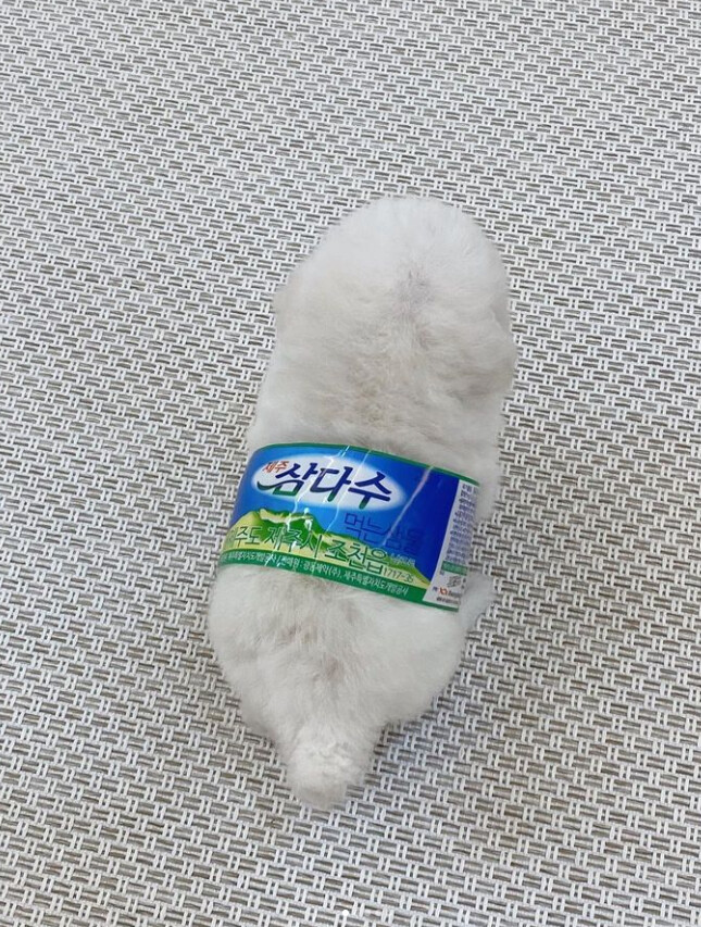 니들 삼다수 병 버릴때 라벨 제대로 뜯어라...._1.png